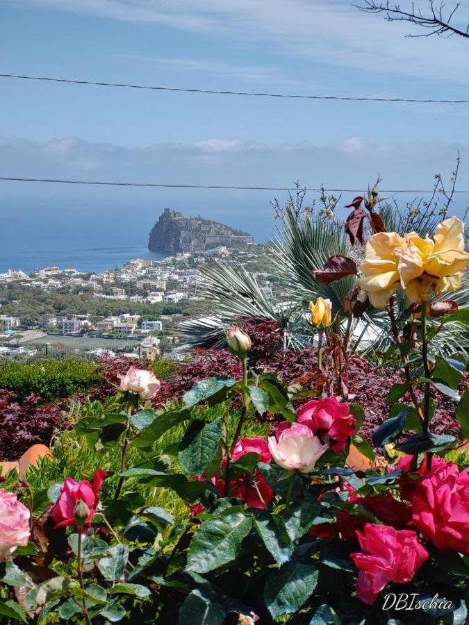 Apartment La Pergola *