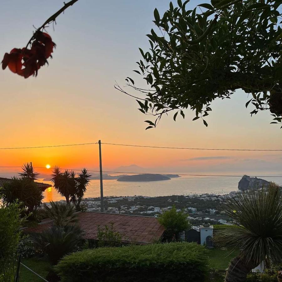 La Pergola * Ischia